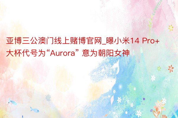 亚博三公澳门线上赌博官网_曝小米14 Pro+大杯代号为“Aurora” 意为朝阳女神