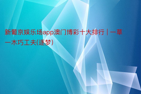 新葡京娱乐场app澳门博彩十大排行 | 一草一木巧工夫(逐梦)