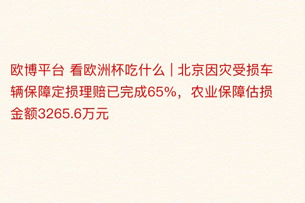 欧博平台 看欧洲杯吃什么 | 北京因灾受损车辆保障定损理赔已完成65%，农业保障估损金额3265.6万元