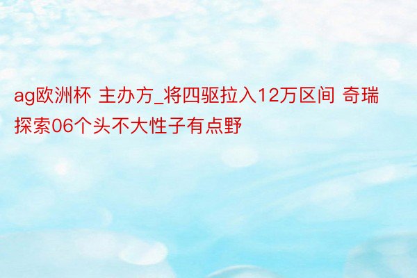 ag欧洲杯 主办方_将四驱拉入12万区间 奇瑞探索06个头不大性子有点野