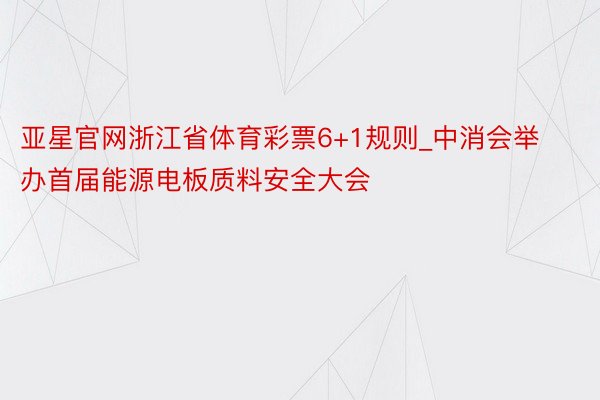 亚星官网浙江省体育彩票6+1规则_中消会举办首届能源电板质料安全大会