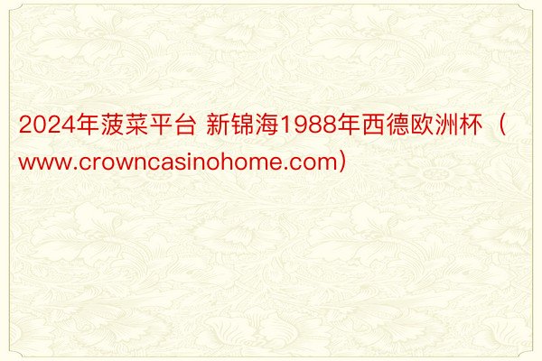 2024年菠菜平台 新锦海1988年西德欧洲杯（www.crowncasinohome.com）