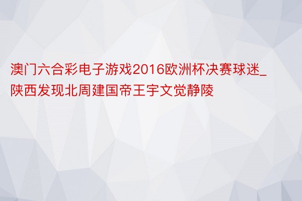 澳门六合彩电子游戏2016欧洲杯决赛球迷_陕西发现北周建国帝王宇文觉静陵